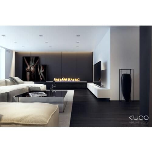 Inno-Fire 48 inch real fire stainless steel manual biofuel burner fireplace