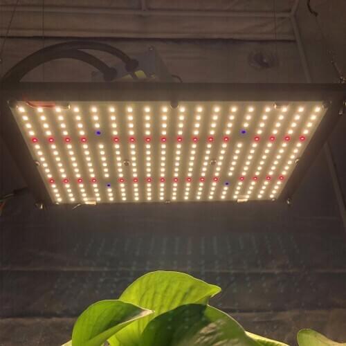 3pcs 150W quantum led board LM301B mix 660nm Full spectrum 3000K/3500K dimmable with Meanwell ELG driver