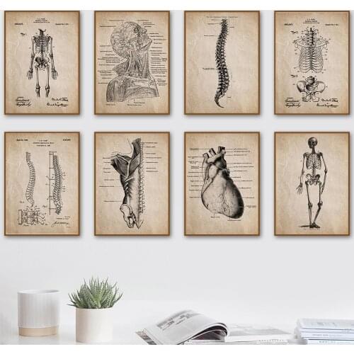 Wall Art Canvas Painting Hospital Clinic Medicine Human Anatomy Skeleton Nordic Posters And Prints Wall Pictures For Living Room