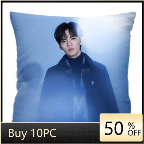 Bi Wenjun Birthday Lady Fluttering Fist with Same Poster Pillowcase Star Series Cushion Cover Cojines Decorativos Para Sofa