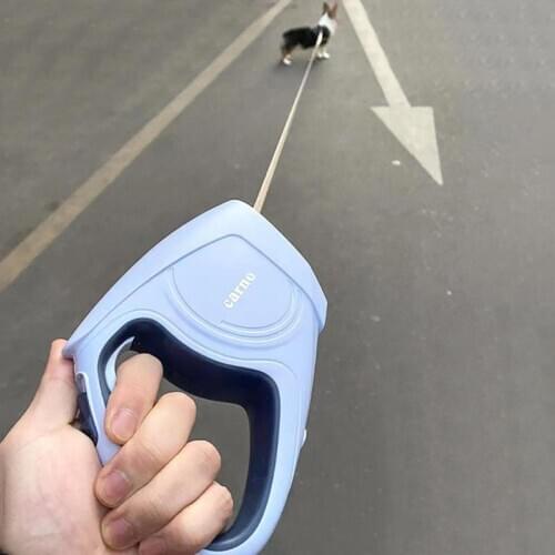 The New Pet Dog Leash Automatic Retractable Safety 5 Meters Automatic Stretching Harness Dog Hand Holding Rope Dogs Products