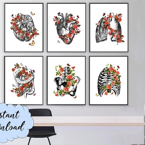 Vintage Anatomy Art Medical Canvas Painting Floral Organ Heart Lung Poster Print Student Education Hospital Picture Modern Decor