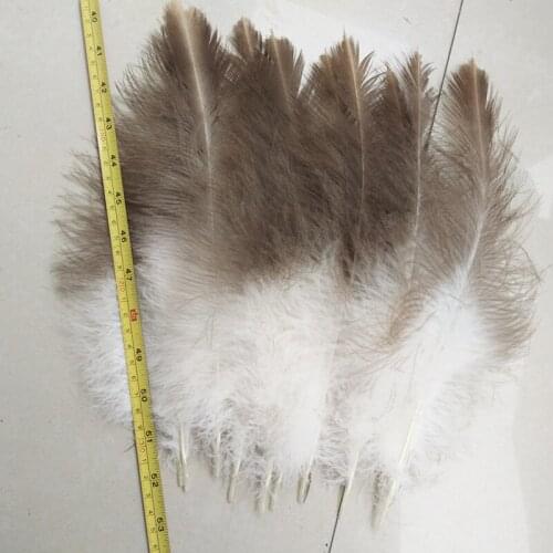 100 pieces / lot of beautiful natural hawk feathers 20-25 cm / 8-10 inches beautiful feathers