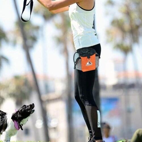 Training Waist Bag Portable Outdoor Dog Wear Resistance Large Capacity Bait Pet Food Pouch Poop Bag Durable Puppy Products