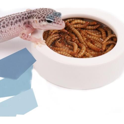 Reptile Anti-escape Food Bowl Bread Worm Barley Worm Lizard Prevent Escape Ceramic Feeder Climb Pet Water Bowl Snake