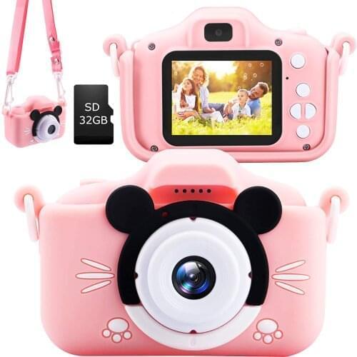 SARDINE Amateur Camcorders