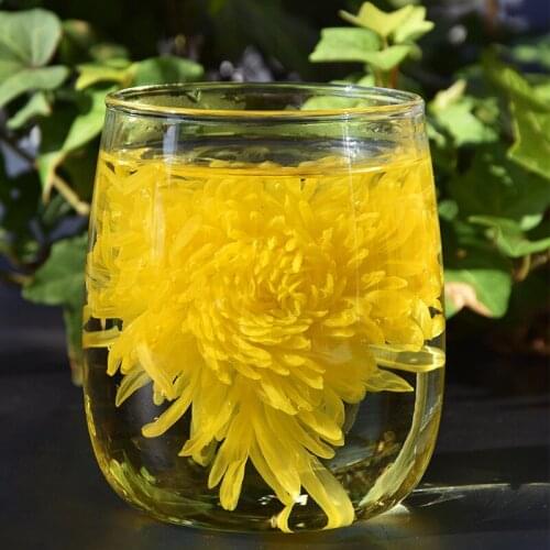 YELLOW CHRYSANTHEMUM PRESSED FLOWERS GOLD EMPEROR CHRYSANTHEMUM MANUFACTURERS CHRYSANTHEMUM CHRYSANTHEMI