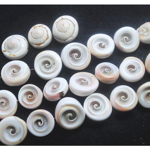 20pcs natural sea shell matching beads round shape 18-20mm for women bracelets making top selling items good beads for your