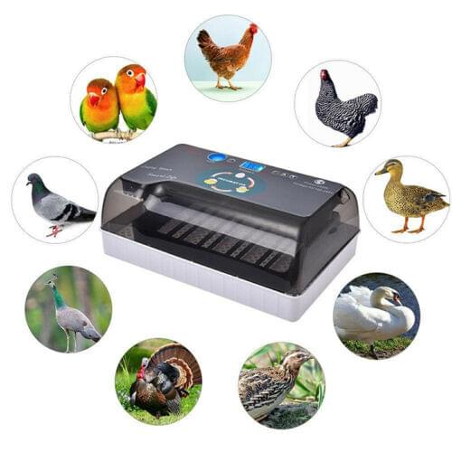 New 110V /220V Fully Automatic Chicken Goose 12 Eggs Poultry Incubator for Home Farm