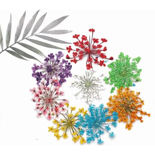 Babysbreath DIY Drop Glue Phone Case Embossing Photo Frame Real Dry Flower Garden Decoration Flowers Favors And Gifts Hot Sale