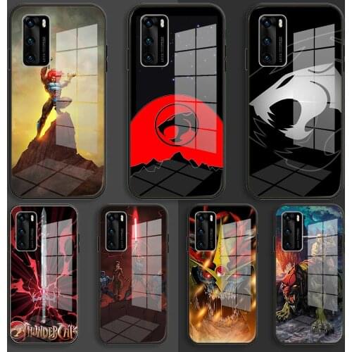 Soft Glass Case For Samsung S20 S11 S10 S9 S8 Plus lite 10e fe TPU Coque Balck Cover ThunderCats
