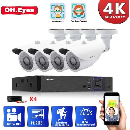 AI 4K 8CH Face Playback DVR H.265 Security System IR Night Vision P2P CCTV Kit Waterproof Doom Security Video Surveillance Set