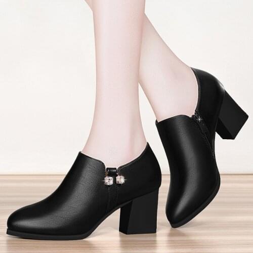 Women Boots Shoes Martin Boots 8cm Thick High Heel Pointed Toe Zipper Mother Shoes Mom Boots Pumps Boots Female Booties Shoes