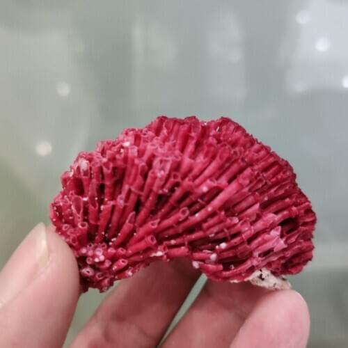 100% Natural red Coral Aquarium Decor Fish Tank Decoration Aquarium Landscaping Ornaments Home Decoration