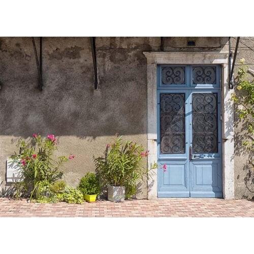 Cement Wall Blue Wooden Door Potted Photographic Background Custom Backdrop Photo Studio for Children Baby Portrait Photophone