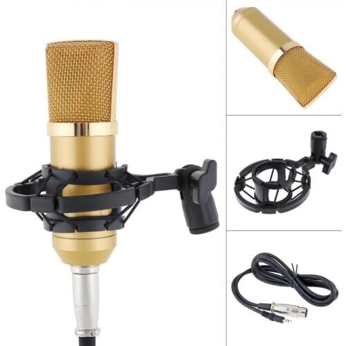 Professional BM-700 Condenser Microphone with Circuit Control and Gold-plated Large Diaphragm Head for KTV / Studio