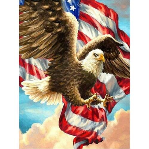 5D Diamond Embroidery pattern Diy Diamond Painting Cross Stitch Kits rhinestones Mosaic Animal eagle Full Square drill puzzle