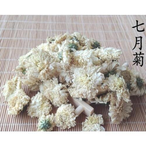 Chrysanthemum organic
