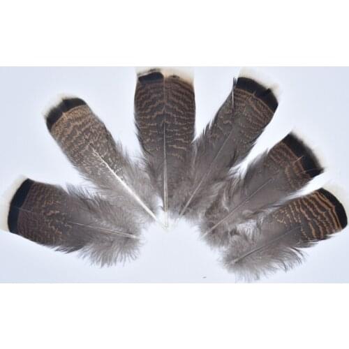 100Pcs/Lot Pheasant Feathers Eagle Feathers 10-15cm/4-6inch Turkey Feathers for Crafts Carnaval Assesoires Plumas Feather Decor
