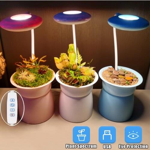 Indoor Grow Light For Succulents 5V USB Desk Hydroponic Planter Full Spectrum Phyto Lamp For Small Plants Box Seedling LED Lamp