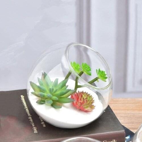 Diameter=12cm Middle Size Oblique Open Glass Terrarium Side Open Table Fishbowl Landscape Container Home Decorative