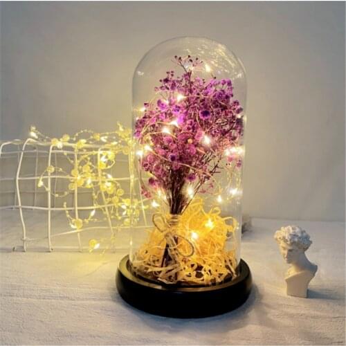 Preserved Dried Babysbreath Flower Night Light in Glass Shell LED Copper String Light for Thanksgiving Day Christmas Girls Gift
