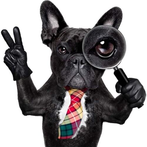 Magnifying Glass Dog Sticker On Clothes Tops Heat Transfer Vinyl Appliqued Diy Fashion Patch Boy T-Shirt Sticker