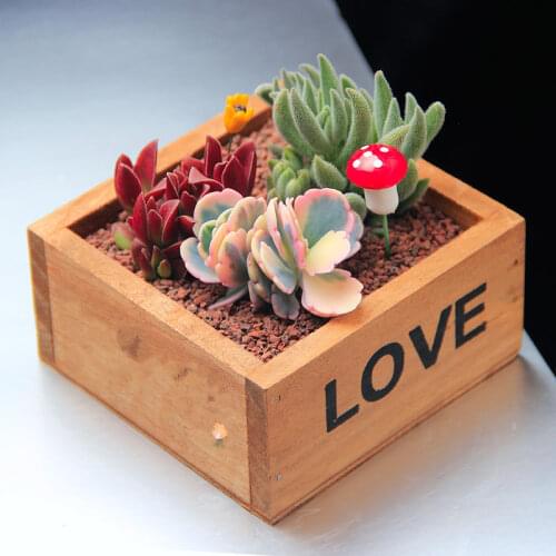Vintage Wooden Plant Pots Flowers Succulent Plant Growth Box Flower Pots Garden Planting Supplies Home Gardening Device Decor