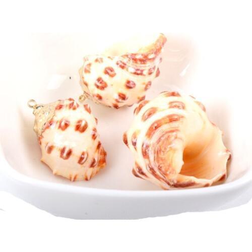 Gold plating Aquarium Beach Nautical DIY conch Colorful Natural Seashells Decorations Scallop conch Crafts Decor Ornament 5Pcs