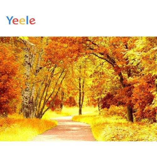 Autumn Maple Forest Corridor Baby Birthday Party Portrait Backdrop Photography Custom Photographic Background For Photo Studio