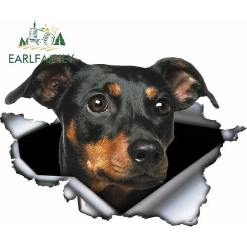 EARLFAMILY Miniature Pinscher Car Sticker 3D Torn Metal Original Design Vinyl Rear Windshield Trunk Custom Decal Pet Dog Graphic