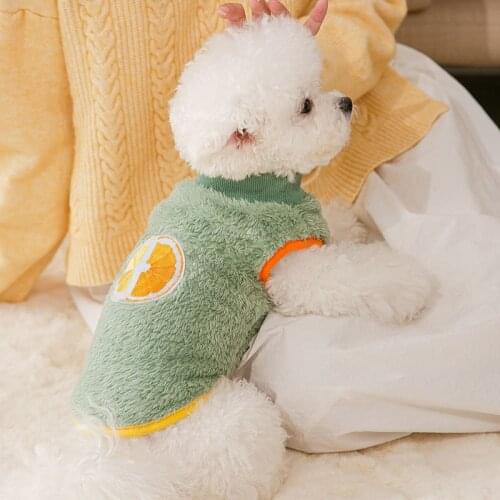 Dog Clothes The New Autumn and Winter Contrast Color Patch Fleece Small and Medium-sized Dog Cat Two-legged Pet Clothes