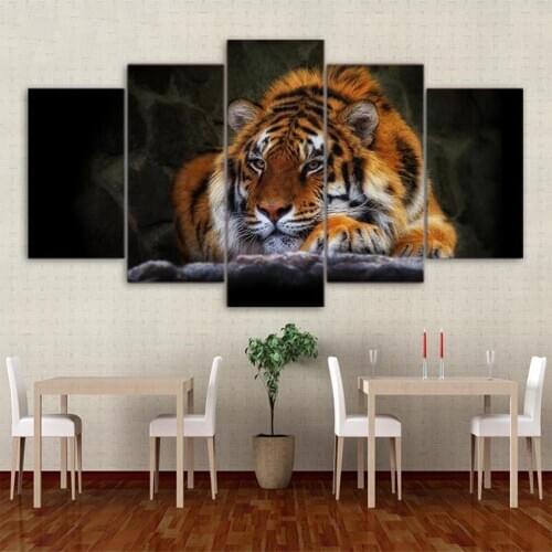 Full square round diamond painting Modern animal art, tiger diamond embroidery 5D rhinestone diamond inlaid pattern5pcs GG5021