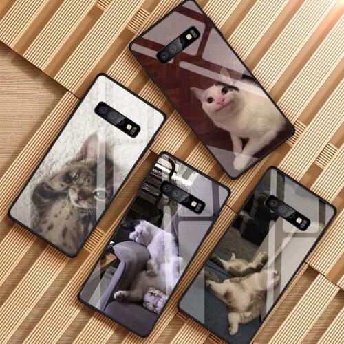 Lazy cat Tempered Glass Phone Case For Samsung Galaxy S8 S9 S10 S20 PLUS J6 J8 2018 NOTE 8 9 10 Cover Shell