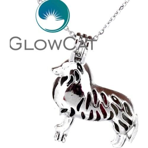 KK549 Silver 34mm Dog Beads Cage Essential Oil Diffuser Oyster Pearl Locket Pendant Necklace Unisex Best Friend Gift