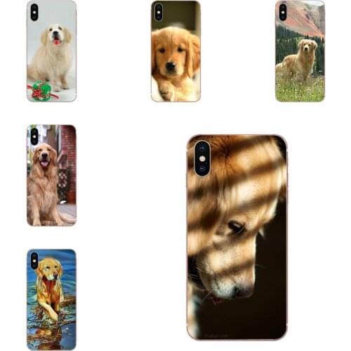For Apple iPhone 4 4S 5 5C 5S SE SE2020 6 6S 7 8 11 Plus Pro X XS Max XR Soft Fashion Case Golden Retriever Dog