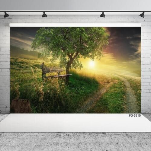 Bench Pathway Sun Grass Scenery Photography Background Vinyl Fond Backdrop for Children Baby Portrait Photocall Photo Studio
