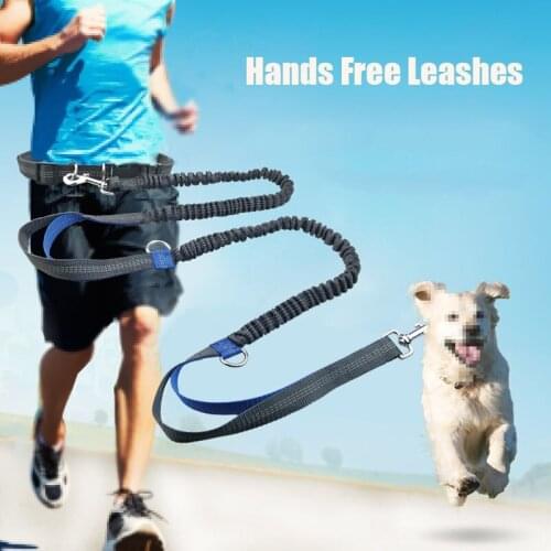 Pet Retractable Dog Leash Portable Running Reflective Double Retractable Training Dog Chain Leash Pet Supplies Travel Products