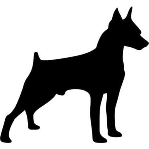 13*12CM Miniature Pinscher Scotland Terrier Car Window Decal Animal Pattern Fashion Car Styling Decorative Stickers C4-0032