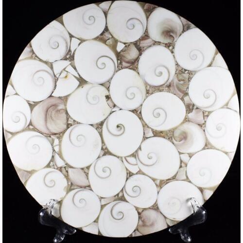 AAA250-280mm Natural snail fossils are a good choice for your family