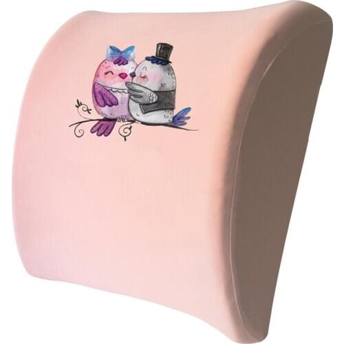 Custog X-LARGE Memory Foam Pillow Seat Cushion Waist Support Back Cushion For Office Chair Orthopedic Health Care ChairPad Birds