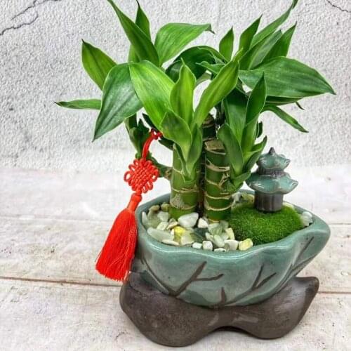Chinese Style Ceramic Flowerpot Classical Potted Plant Interior Decoration Garden Bonsai Creative Personality Flowerpot Gift