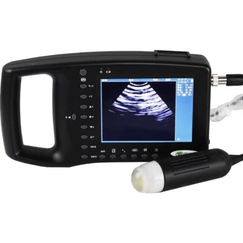 1800A Portable veterinary ultrasound scanner for animal pregnancy test, suitable for small animals, dogs, cats, pigs, sheep