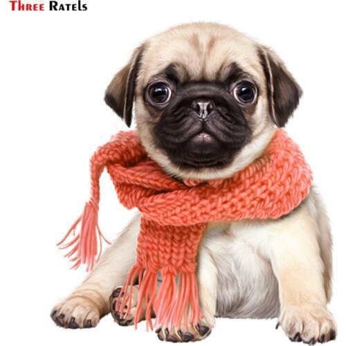 Three Ratels TRL752# 13x15cm car animal funny car stickers Boston dog Terrier farts car stickers and decals