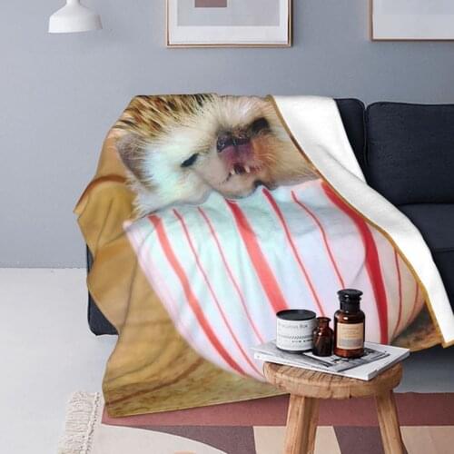 Hedgehog Blankets Flannel Decoration Cute Animal Portable Super Warm Throw Blankets for Sofa Outdoor Plush Thin Quilt