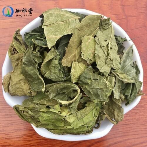 Mulberry Leaf Folium Mori Leaf of Arbor Plant Morus Alba L. Sang Ye