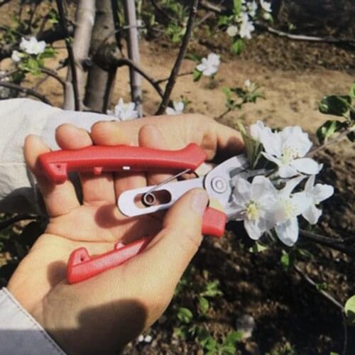 Double-port Fruit And Flower Thinning Shears Fruit Picking Shears Gardening Pruning Shears Fruit Tree Pruning Tools