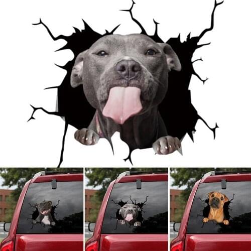Funny Car Stickers Electrostatic Decorative Glass Window Decal Sticker Adhesive Simulation Animal Ornament H88F