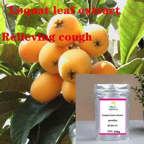 Loquat Leaf Extract/Loquat Leaf Powder Antioxidant/Relieving Cough, Eliminating Gastric Nausea/Free Transportation