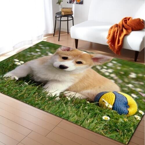 Cute Dog Children Room Floor Area Rug 3D Printed Animal Play Mat Flannel Anti-slip Kitchen Bedside Living Room Rug Carpet